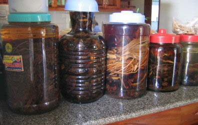 Lạm dụng rượu ngâm: Rước họa vào thân!